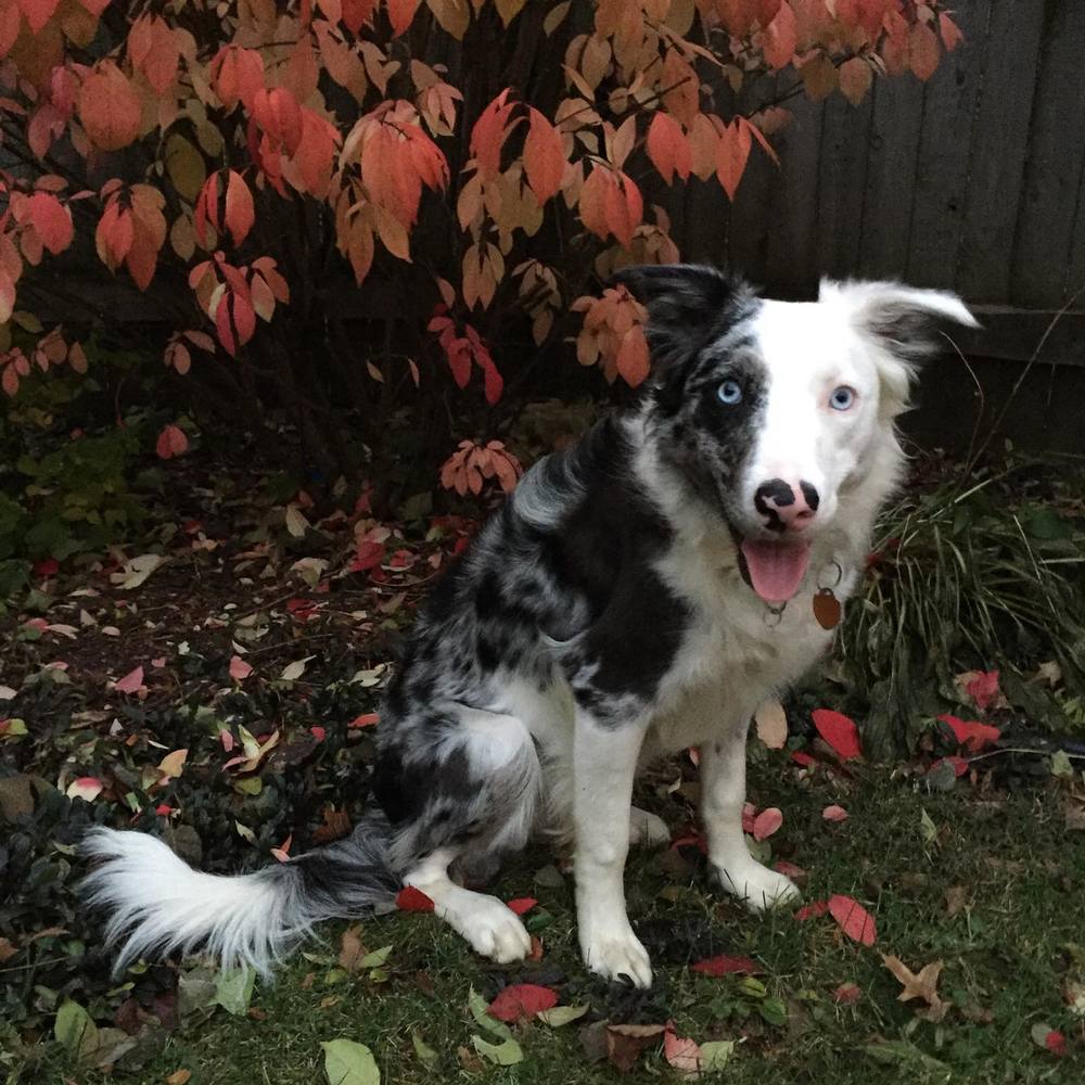 Meet your Posher, Stefanie